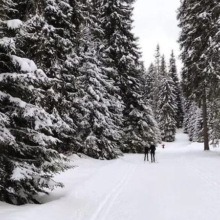 Aix Les Bains 2p Standing 40m2 Avec Jardin, Parking, Proche Thermes אקס-לה-באינס